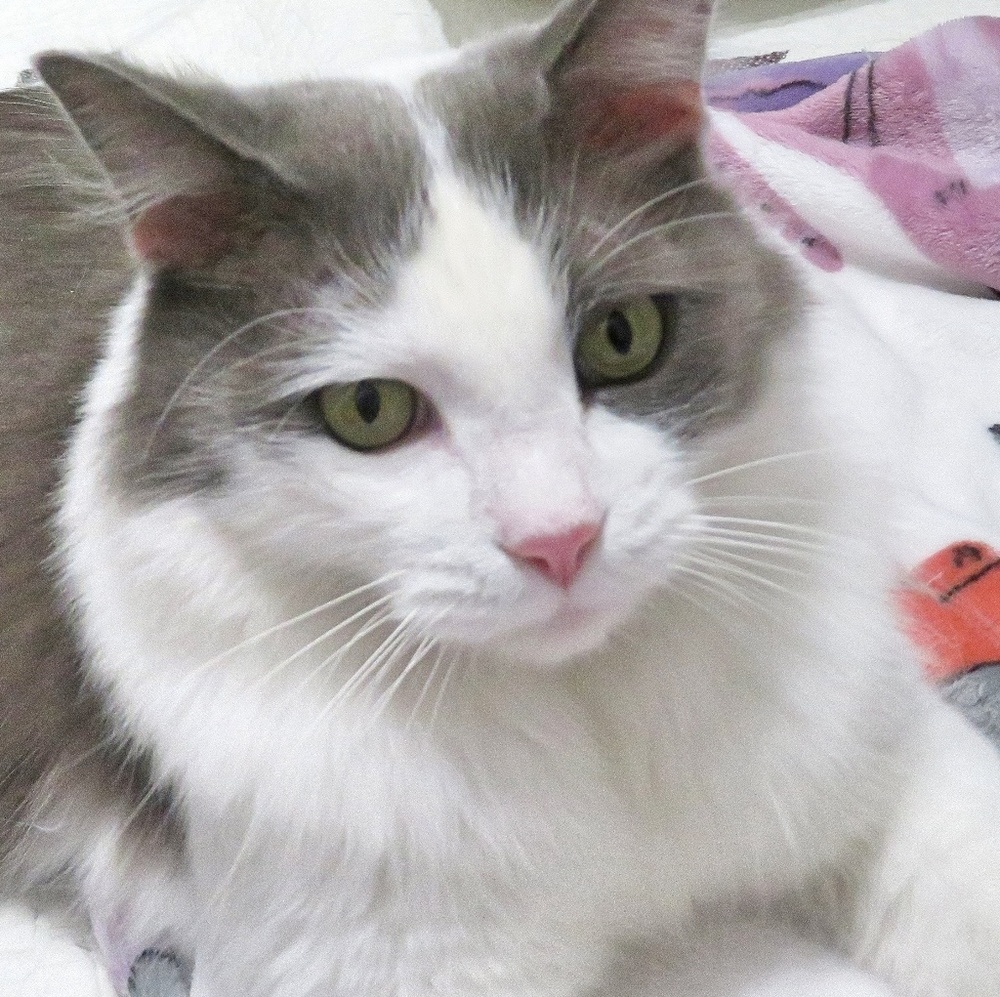 Meet your Posher, Doris